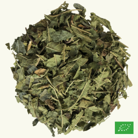 VERVEINE