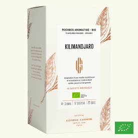 KILIMANDJARO - Infusion aromatisé BIO - Boîte sachets 20